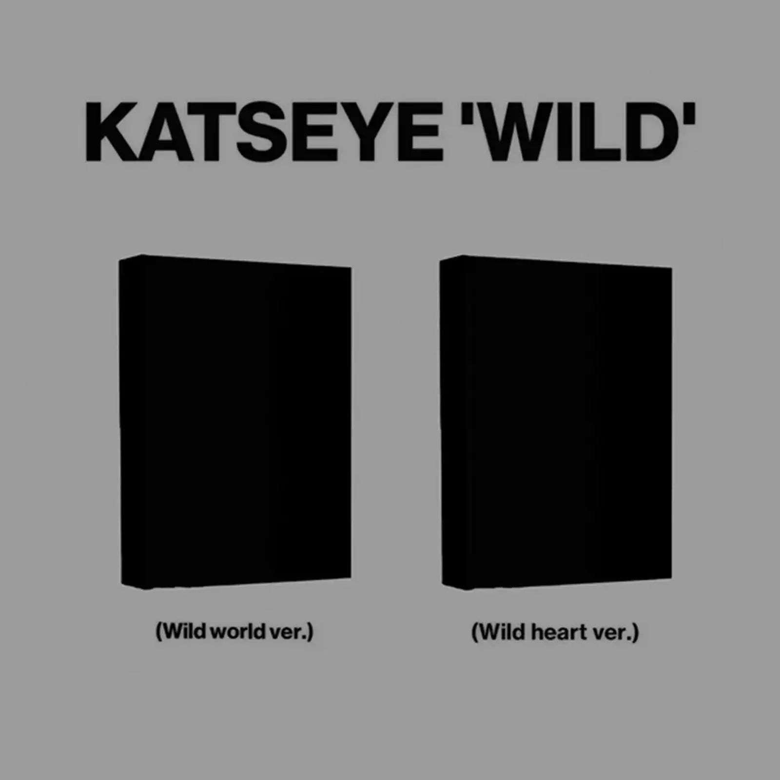 KATSEYE - WILD (Random)