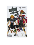 Haikyuu Artbook